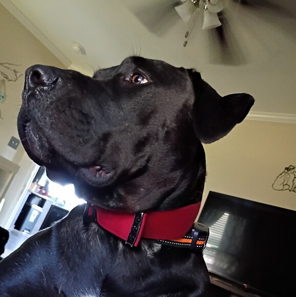 amyknapp441